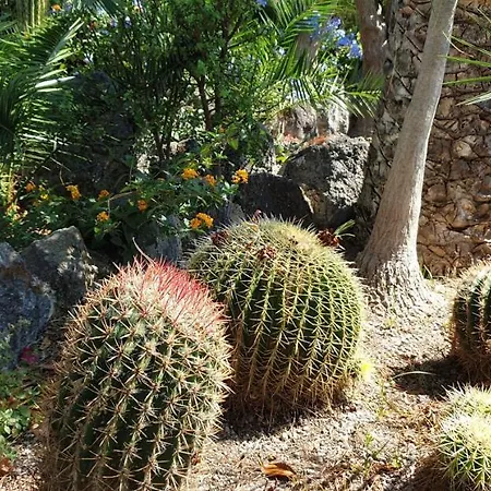 ホテル マイアージェ カザミッチョラ・テルメ